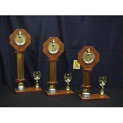 (TT08) TROFEO TRADICIONAL CON OCTAGONO DE MADERA DE 12 CMS