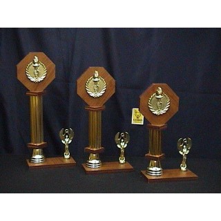 (TT08) TROFEO TRADICIONAL CON OCTAGONO DE MADERA DE 12 CMS