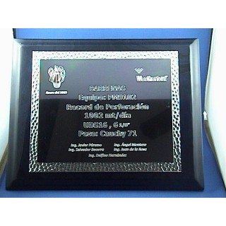 (R018) RECONOCIMIENTO POLIESTER MARTILLADO (R018) RECONOCIMIENTO POLIESTER MARTILLADO