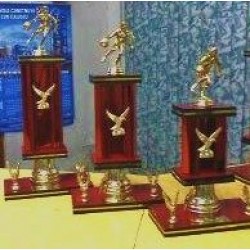 (TT02) TROFEO TRADICIONAL COLUMNA ENROSCADA Y 2 AGUILAS DE FUNDI