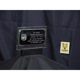 (CG034) VIDRIO MODELO RECTANGULAR C/PLACA (CG034) VIDRIO MODELO RECTANGULAR C/PLACA