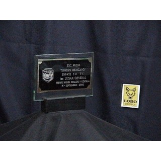 (CG034) VIDRIO MODELO RECTANGULAR C/PLACA